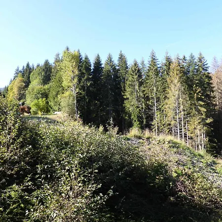 Ecrin Des Glacier Ecureuil - Studio Pour 4 Personnes 374 Combloux